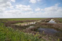 LBL2000325-1200  Coto Doñana National Park is everywhere marked by a solid fence © Leif Bisschop-Larsen / Naturfoto