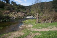 LBL2000405-1200  Rio Murtiga, notice how high the waterlevel have been during winter © Leif Bisschop-Larsen / Naturfoto