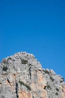 LBL2000450-1200  Cliffs with vultures, Llanos de Libar © Leif Bisschop-Larsen / Naturfoto