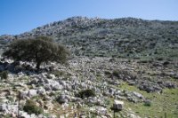 LBL2000460-1200  Rocky karst landscape of Llanos de Libar © Leif Bisschop-Larsen / Naturfoto