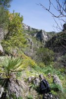 LBL2000492-1200  Lush vegetation in Garganta Verde © Leif Bisschop-Larsen / Naturfoto