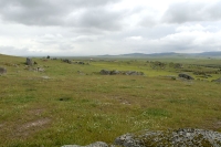  Vidtstrakt græsland nær Trujillo. Grassland near Trujillo. © Leif Bisschop-Larsen