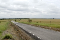  Vej gennem Extremaduras stepper. Road through the steppes of Extremadura. © Leif Bisschop-Larsen