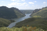  Den opstemmede Rio Tajo flyder her gennem Monfragüe, Penafalcon med gribbekoloni til højre. The reservoir of Rio Tajo flows through the Monfragüe, Penafalcon to the right. © Leif Bisschop-Larsen