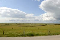  Græsland så langt man kan se. Grassland as long as one can see. © Leif Bisschop-Larsen