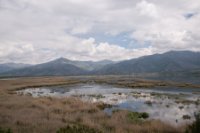 LBL1703738-1200  The northern part of Lake Mikri Prespa, the main breeding area for pelicans and other water-birds. © Leif Bisschop-Larsen / Naturfoto.