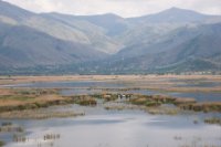 LBL1703739-1200  The northern part of Lake Mikri Prespa, the main breeding area for pelicans and other water-birds. © Leif Bisschop-Larsen / Naturfoto.