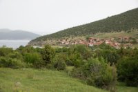LBL1703902-1200  Psarades at Lake Megali Prespa. © Leif Bisschop-Larsen / Naturfoto.