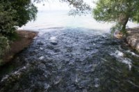 LBL1704027-1200  Water from the springs of Sv. Naum, Macedonia. © Leif Bisschop-Larsen / Naturfoto.