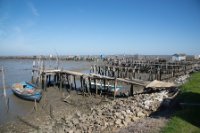 LBL1900437-1200  Carrasqueira "harbour". © Leif Bisschop-Larsen / Naturfoto