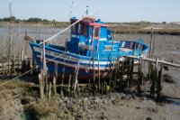 LBL1900454-1200  Fishing boat at Carrasqueira (low tide). © Leif Bisschop-Larsen / Naturfoto