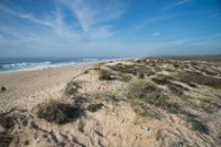 LBL1900456-1200  The coast at Lagoa Santo André. © Leif Bisschop-Larsen / Naturfoto