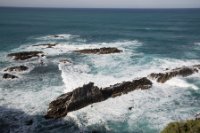 LBL1900539-1200  Rocky shore of Cabo Sardao.  © Leif Bisschop-Larsen / Naturfoto