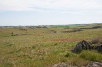 LBL1900644-1200  Steppe near Guerreiro.  © Leif Bisschop-Larsen / Naturfoto