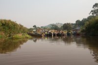 LBL1800096-1200.jpg  Mabamba Swamps. © Leif Bisschop-Larsen / Naturfoto