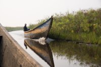 LBL1800098-1200  Mabamba Swamps. © Leif Bisschop-Larsen / Naturfoto