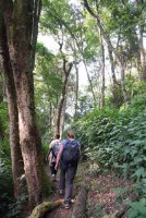 LBL1800303-1200  Bwindi Forest, © Leif Bisschop-Larsen / Naturfoto