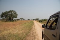 LBL1800426-1200  Savanna in Queen Elizabeth National Park. © Leif Bisschop-Larsen / Naturfoto