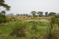 LBL1800437-1200  Small wetland in Queen Elizabeth National Park. © Leif Bisschop-Larsen / Naturfoto