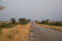 LBL1800449-1200  Savanna in Queen Elizabeth National Park. © Leif Bisschop-Larsen / Naturfoto