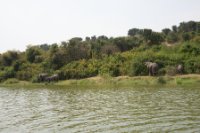 LBL1800489-1200  Kazinga Channel, Queen Elizabeth National Park. © Leif Bisschop-Larsen / Naturfoto