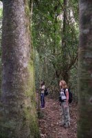 LBL1800585-1200  Vero and EM in Kibale Forest. © Leif Bisschop-Larsen / Naturfoto