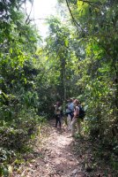 LBL1800600-1200  Kibale Forest. © Leif Bisschop-Larsen / Naturfoto