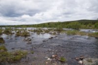 LBL1902450-1200  Rivers and lakes are dominant in Finnish Lapland. © Leif Bisschop-Larsen / Naturfoto.