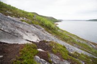 LBL1902495-1200  Neidenfjorden, Varanger. © Leif Bisschop-Larsen / Naturfoto.