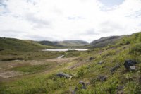 LBL1902506-1200  Valley near Byluft, Varanger. © Leif Bisschop-Larsen / Naturfoto.