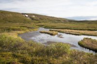 LBL1902631-1200  Komagdalen, Varanger. © Leif Bisschop-Larsen / Naturfoto.